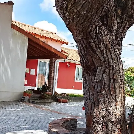 Casa De Campo A 5 Minutos Da Praia Atouguia Da Baleia Exterior foto